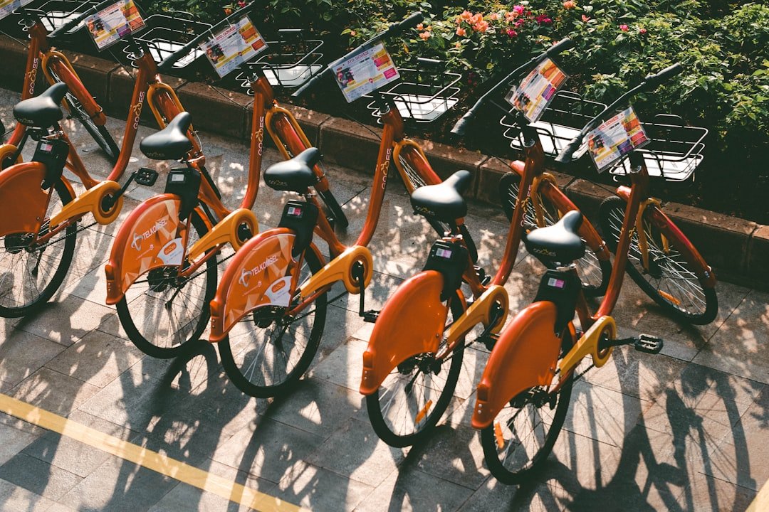 louez un vélo facilement et profitez de la liberté d'explorer la ville à votre rythme. que ce soit pour une balade tranquille ou une aventure sportive, notre service de location de vélos propose des modèles adaptés à tous les besoins. réservez dès maintenant et partez à la découverte des plus beaux paysages !