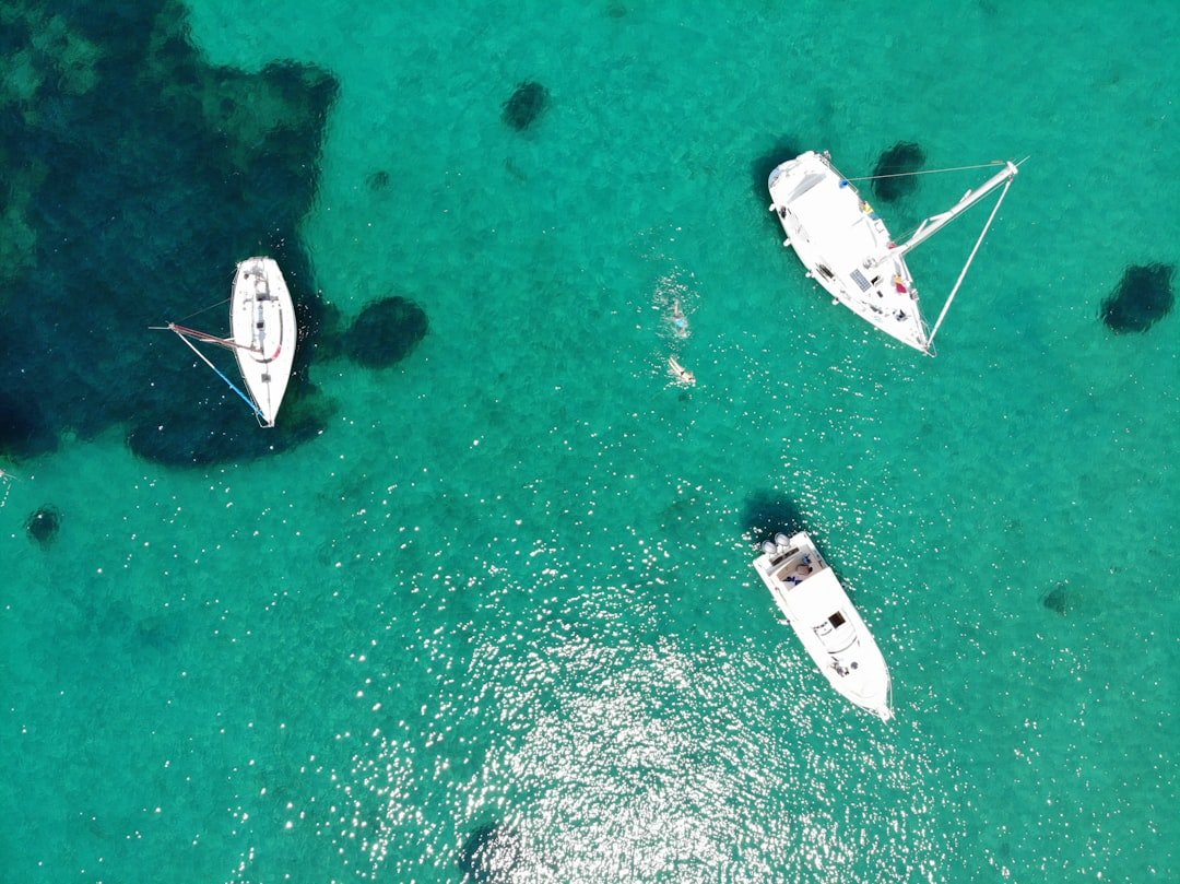 découvrez porquerolles, une île paradisiaque située au large de la côte d'azur. profitez de ses magnifiques plages, de ses sentiers de randonnée et de la beauté de sa nature préservée. parfait pour une escapade inoubliable au cœur de la méditerranée.